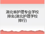 湖北省护理专业学校排名(湖北护理学校排行)