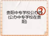贵阳中专学校公办的(公办中专学校在贵阳)