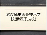 武汉城市职业技术学校(武汉职技校)