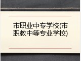 市职业中专学校(市职教中等专业学校)