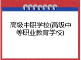 高级中职学校(高级中等职业教育学校)
