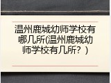 温州鹿城幼师学校有哪几所(温州鹿城幼师学校有几所？)