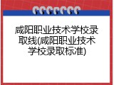咸阳职业技术学校录取线(咸阳职业技术学校录取标准)