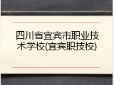 四川省宜宾市职业技术学校(宜宾职技校)