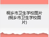 桐乡市卫生学校图片(桐乡市卫生学校图片)