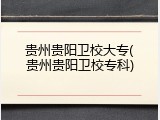 贵州贵阳卫校大专(贵州贵阳卫校专科)