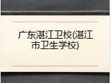 广东湛江卫校(湛江市卫生学校)