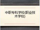 中职专科学校(职业技术学校)
