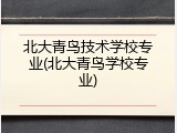 北大青鸟技术学校专业(北大青鸟学校专业)