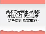 美术高考画室培训哪家比较好(优选美术高考培训画室推荐)