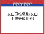 文山卫校级别(文山卫校等级划分)