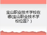 宝山职业技术学校在哪(宝山职业技术学校位置？)