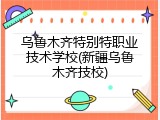 乌鲁木齐特别特职业技术学校(新疆乌鲁木齐技校)