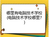 哪里有电脑技术学校(电脑技术学校哪里？)