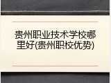 贵州职业技术学校哪里好(贵州职校优势)