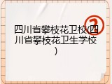 四川省攀枝花卫校(四川省攀枝花卫生学校)