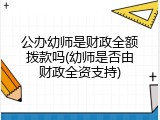 公办幼师是财政全额拨款吗(幼师是否由财政全资支持)