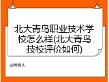 北大青鸟职业技术学校怎么样(北大青鸟技校评价如何)