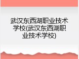 武汉东西湖职业技术学校(武汉东西湖职业技术学校)