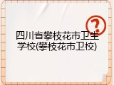 四川省攀枝花市卫生学校(攀枝花市卫校)