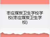 枣庄煤炭卫生学校学校(枣庄煤炭卫生学校)