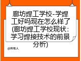 廊坊焊工学校-学焊工好吗现在怎么样了(廊坊焊工学校现状：学习焊接技术的前景分析)