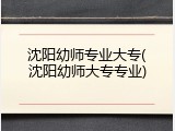 沈阳幼师专业大专(沈阳幼师大专专业)