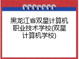 黑龙江省双星计算机职业技术学校(双星计算机学校)