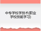 中专学校学技术(职业学校技能学习)