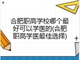 合肥职高学校哪个最好可以学医的(合肥职高学医最佳选择)
