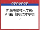 新疆电脑技术学校(新疆计算机技术学校)