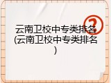 云南卫校中专类排名(云南卫校中专类排名)