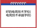 好的电竞技术学校(电竞技术卓越学府)