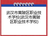 武汉市黄陂区职业技术学校(武汉市黄陂区职业技术学校)