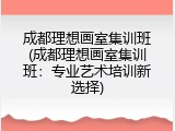 成都理想画室集训班(成都理想画室集训班：专业艺术培训新选择)