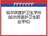 哈尔滨医护卫生学校(哈尔滨医护卫生职业学校)
