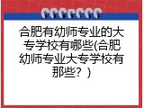 合肥有幼师专业的大专学校有哪些(合肥幼师专业大专学校有那些？)