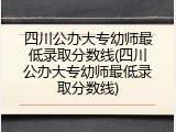 四川公办大专幼师最低录取分数线(四川公办大专幼师最低录取分数线)
