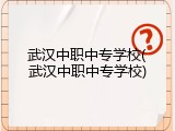 武汉中职中专学校(武汉中职中专学校)