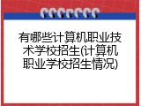 有哪些计算机职业技术学校招生(计算机职业学校招生情况)