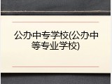 公办中专学校(公办中等专业学校)