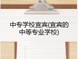 中专学校宜宾(宜宾的中等专业学校)