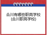 合川有哪些职高学校(合川职高学校)