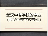 武汉中专学校的专业(武汉中专学校专业)
