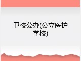 卫校公办(公立医护学校)