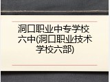 洞口职业中专学校 六中(洞口职业技术学校六部)