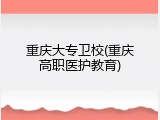 重庆大专卫校(重庆高职医护教育)