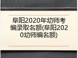 阜阳2020年幼师考编录取名额(阜阳2020幼师编名额)