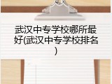 武汉中专学校哪所最好(武汉中专学校排名)