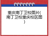 重庆南丁卫校图片(南丁卫校重庆校区图)
